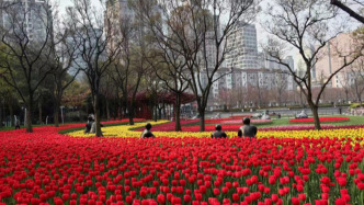 上海市政府常務(wù)會議部署，做好2026年上海市為民辦實(shí)事立項(xiàng)工作，確保兌現(xiàn)承諾