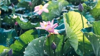 守住我们心里不可战胜的夏天