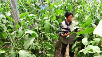 中央农村工作会议：因地制宜发展农业新质生产力，千方百计促进农民稳定增收