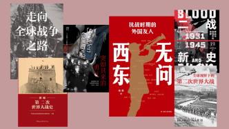 烽火回望八十载：2025年二战史作品盘点