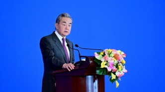 Vlog｜记录中国外交之声，王毅全景回顾2025