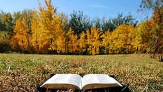 “A合同是B合同簽署與履行的前提”應(yīng)作何解？