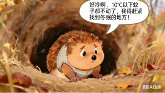 尋冬眠記：揪出“潛伏”的越冬蚊！