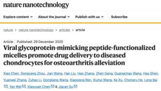 Nature子刊：蘇佳燦/陳小元/魏彥/白龍團隊開發(fā)新型納米藥物，精準治療骨關節(jié)炎