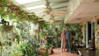 夫妻買下香港山頂3層房，在家造花園