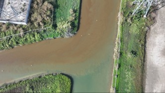 東莞一企業(yè)疑偷排污水被舉報(bào)：環(huán)保部門檢查后，企業(yè)連夜封堵下水管口