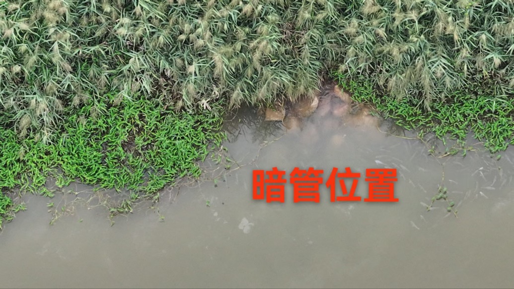 東莞一企業(yè)疑偷排污水被環(huán)保部門檢查后,連夜封堵下水管口