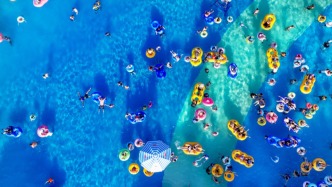 2025年为上海有气温观测记录以来的“最暖年”，还刷新这些纪录