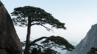 壁畫家、美術(shù)家楚啟恩逝世，曾參與首都機場大型壁畫群創(chuàng)作