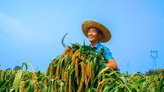 马上评｜“小家”热气升腾，“大家”蒸蒸日上