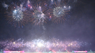 冰上月光+海滨烟花，“上海新年第一游”首迎双主场