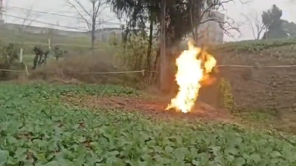 四川南充一菜地突喷烈火,镇政府:已拉起警戒线,等待专业队伍到场检测处置