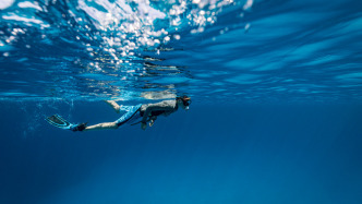 网友投诉相关海域存在非法潜水活动，三亚通报