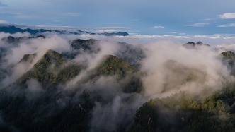 非法穿越秦岭系列案入选年度法治实施事件，司法补位监管短板