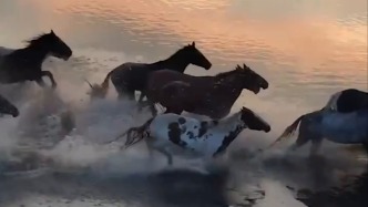 此行间·开局之年怎么干？习主席的新年贺词这样展望2026年