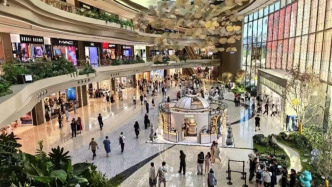 元旦假期前两日，海南离岛免税购物金额达5.05亿元