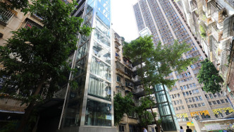 优化实施“两新”政策“两重”项目（经济新方位）