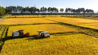 新年賀詞里的中國信心