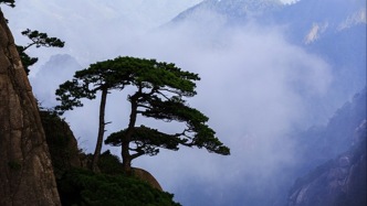 海军原副政委王征中将逝世，享年64岁