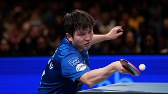 2026年首战独得两分，樊振东率队挺进乒乓德国杯决赛