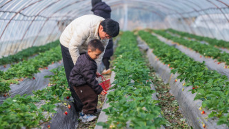 九部門(mén)發(fā)文：實(shí)施綠色消費(fèi)推進(jìn)行動(dòng)