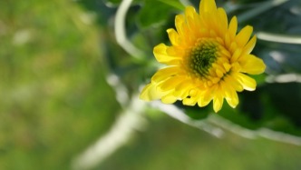 中國(guó)人民大學(xué)應(yīng)用金融系原副主任周游逝世，享年64歲