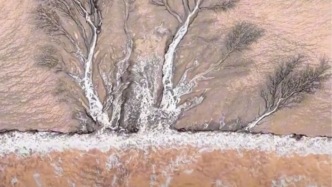 大美中国丨自然的鬼斧神工，钱塘江现潮水灌溉“大地之树”奇景