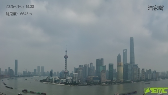 受西北通道污染輸送影響，上海今日出現(xiàn)輕度污染