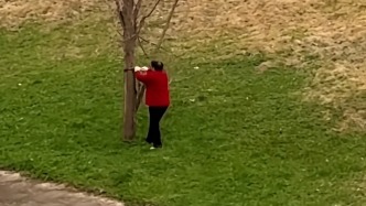 湖北利川市一大橋下有人鋸樹砍柴？當(dāng)?shù)鼗貞?yīng)將會巡查處理