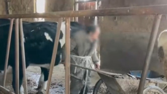 山西臨猗通報(bào)養(yǎng)牛場(chǎng)用工有殘障人士：涉事相關(guān)責(zé)任人已被控制