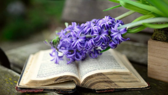 电视剧素材著作权转让合同解除时，是否应包含著作权归属的诉请？