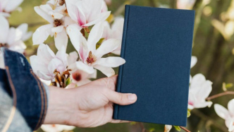 將電影公司借給他人經(jīng)營并收費，該奇葩行為會有哪些后果？