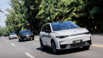 新造车2025年复盘：零跑登顶，小鹏逆袭，理想遇挫