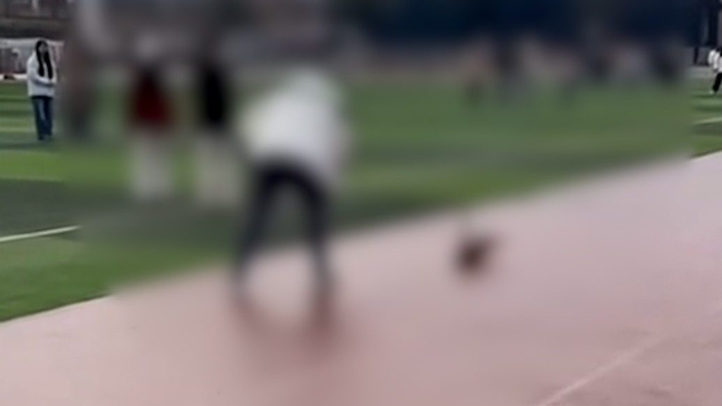 教育局回应“四川贸易学校一老师当学生面打死流浪狗”：正研究处置