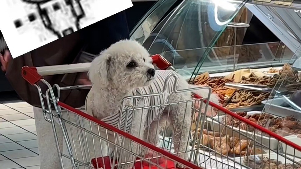 顾客将狗放购物车逛超市？超市工作人员：禁止该行为，将清洗购物车