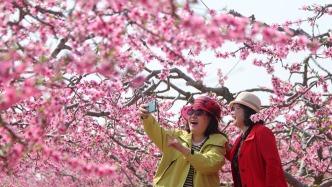 四部门联合发文：明确开展春秋游等推进职工文体工作举措