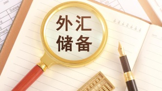 去年外汇储备增加1555亿美元，去年12月增115亿美元