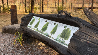 “十四五”上海市公園數(shù)量突破千座，垃圾回收利用率達(dá)45%