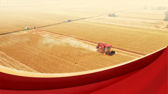 学习手记丨始终绷紧粮食安全这根弦