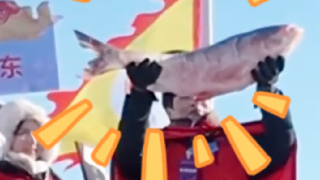 1699999元！查干湖冬捕頭魚(yú)拍出，拍得者：“見(jiàn)者都好運(yùn)”