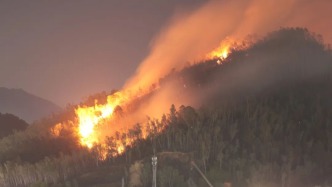 深圳坪山石井街道山火已撲滅，無人員傷亡