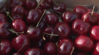 人气旺、消费火，热气腾腾！各地市场活跃繁荣 “年经济”释放“新”热度