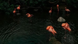 揭晓 | 2025年土耳其移动摄影奖（环境与生态组）获奖公布