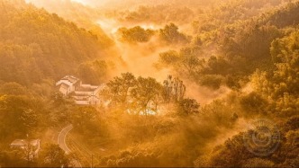 入选作品 | 2025，我的封面之作（一）