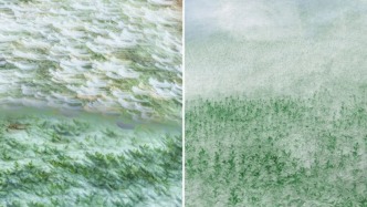 展讯｜寻源——安岭艺术驻地成果展