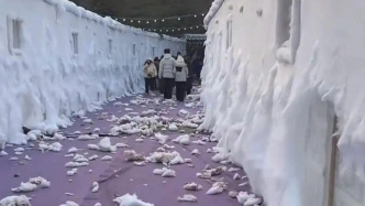 開業(yè)三天差評八百？半月談：“冰雪熱”不能只是營銷熱