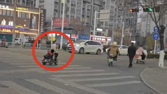 寵物狗“騎”電動(dòng)三輪車上街后座還趴著一只寵物狗，警方：第一次遇到，正在聯(lián)系犬主