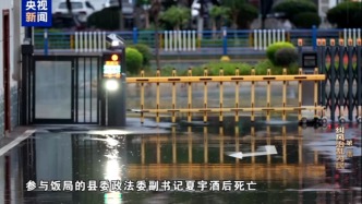 河南罗山县10名干部违规吃喝致1人酒后死亡，专题片揭示背后风腐交织问题