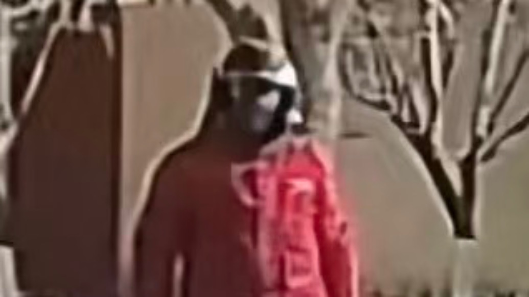 司机把外卖小哥撞进绿化带，事后竟开启“互夸”模式