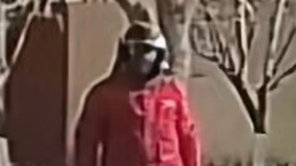 司机把外卖小哥撞进绿化带，事后竟开启“互夸”模式